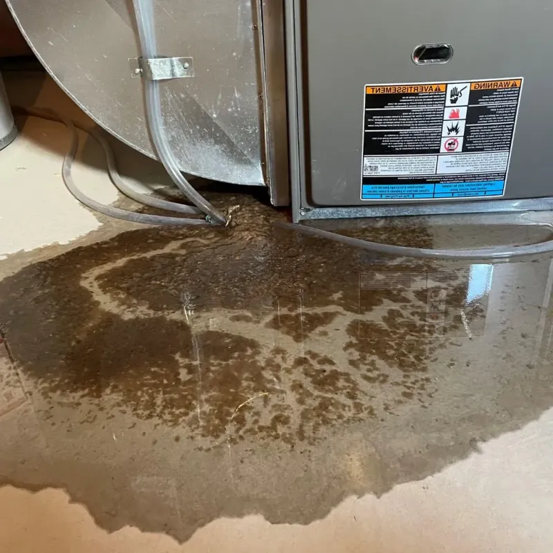 Pipe Burst and Leak Restoration in Bull Run, VA